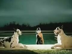 ब्रेज़र्स से भावुक फीनिक्स मैरी बीएफ सेक्सी मूवी वीडियो के साथ मौखिक फिल्म