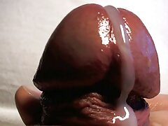 गोल-मटोल सेक्स के साथ सुंदर कोरिना कोवा सेक्सी बीएफ फुल मूवी एचडी से Scoreland